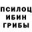 Псилоцибиновые грибы Psilocybe Anders Lian