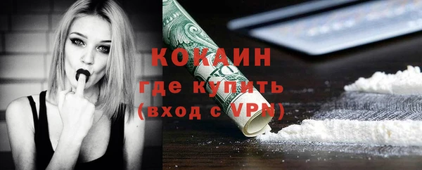 индика Алексеевка