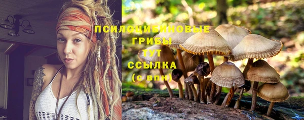 не бодяженный Алзамай