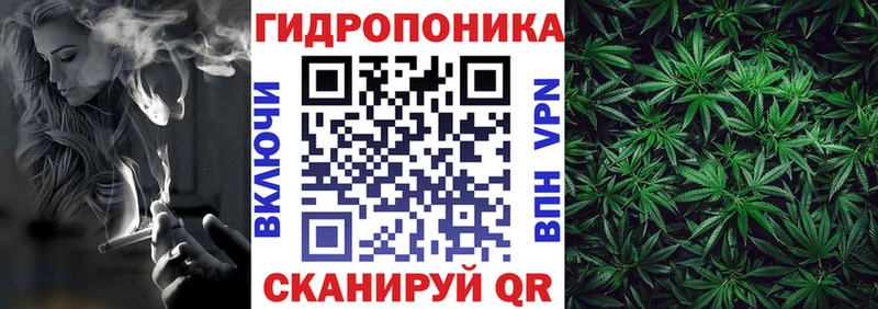 Каннабис сатива Алушта